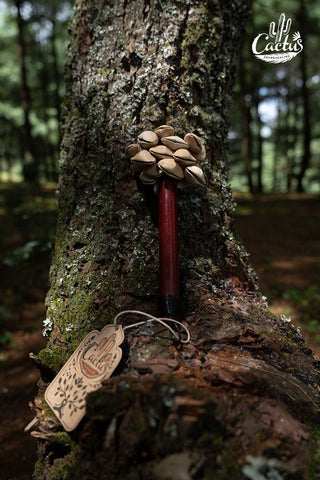 Chacha Oleander Seed Pod Shaker | Handmade Wooden Handle Rainforest Instrument