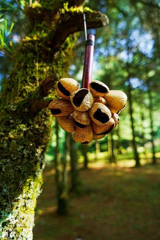 Panji Seed Pod Wooden Handle Shaker
