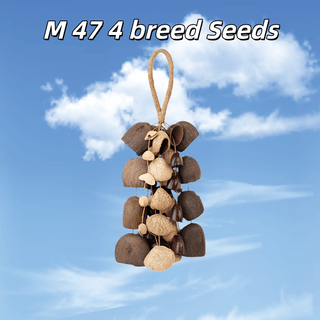 Handmade Mixed Seed Shaker | Hand Bell
