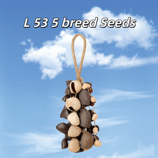 Handmade Mixed Seed Shaker | Hand Bell