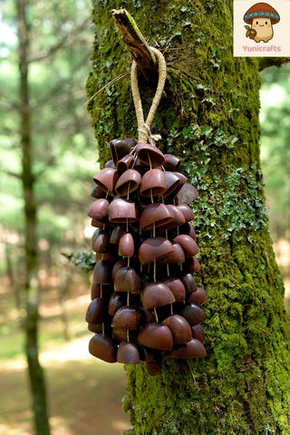 Juju Duckfoot Vine Seed Shaker | Hand Bell